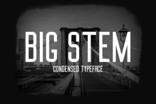 Big Stem Typeface: A Bold Choice for Brand Identity