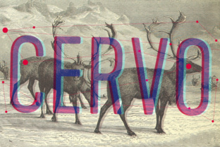 Cervo Font Review: A Bold Sans Serif for Modern Brands
