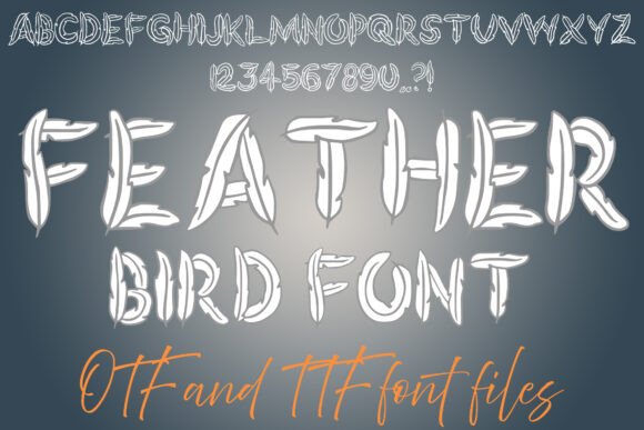 Feather Bird Font: A Gentle Touch for Editorial Design