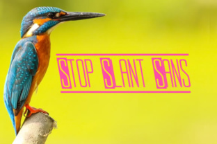 Stop Slant Sans: A Modern Typeface for Editorial Design