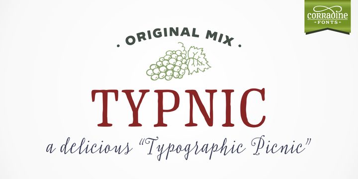 Typnic Family: A Hand-Drawn Sans Serif Font for Web Design